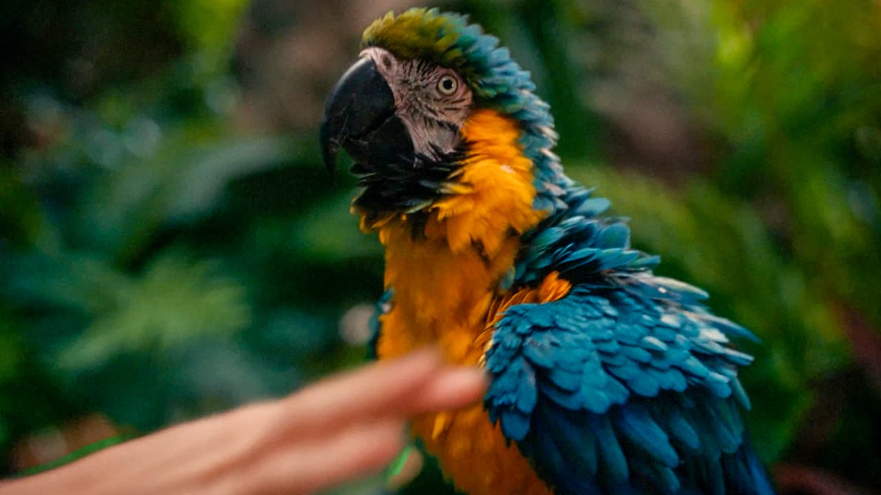 BBVA — commercial directed by Axel Elizondo